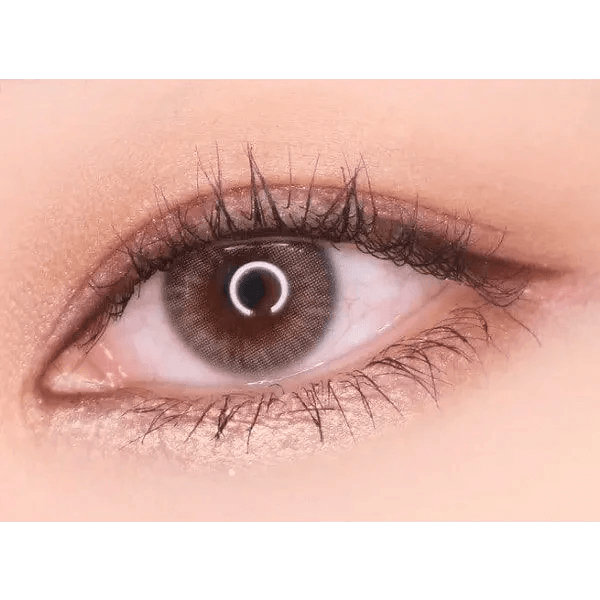 Olens Spanish Gray (20p) — single-eye close-up showing the contact lens appearance