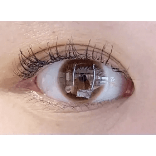 Olens Spring Rain Brown — single-eye close-up showing the contact lens appearance