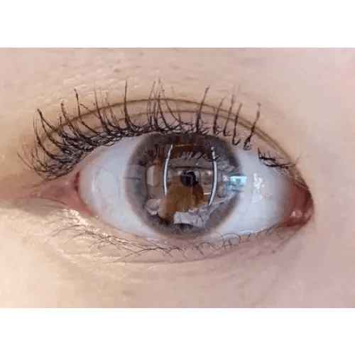 Olens Spring Rain Gray — single-eye close-up showing the contact lens appearance
