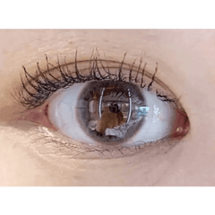 Olens Spring Rain Gray