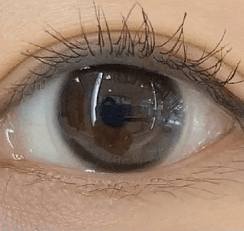 Olens Stay Black — single-eye close-up showing the contact lens appearance