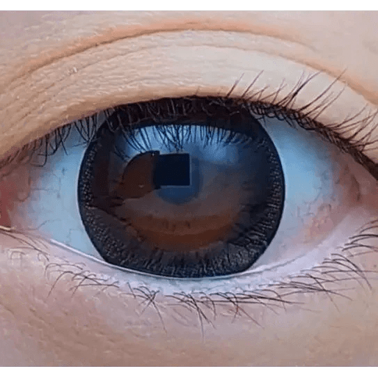 Olens Toy Black — single-eye close-up showing the contact lens appearance