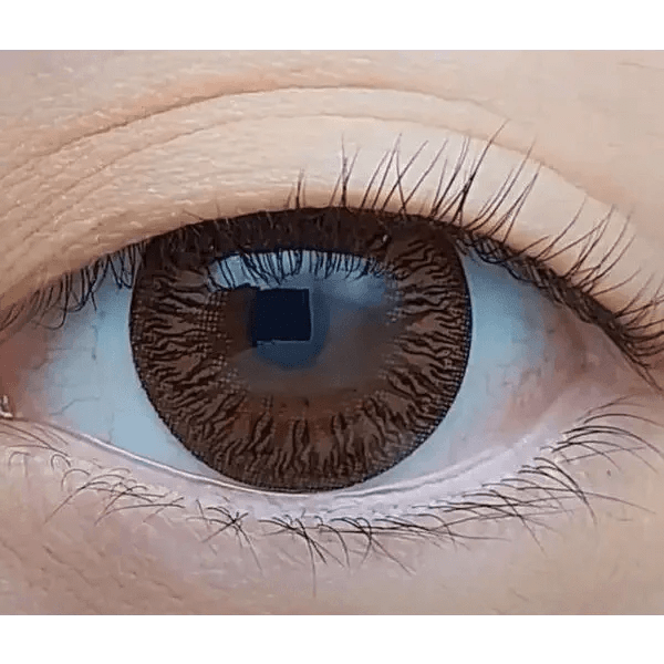 Olens Toy Brown — single-eye close-up showing the contact lens appearance