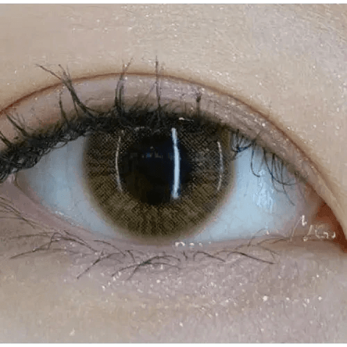 Olens TT 1 Brown — single-eye close-up showing the contact lens appearance
