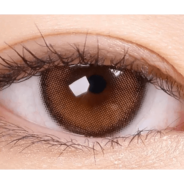 Olens ViVi Ring Brown Toric colored contact lens, 13.0mm graphic diameter, Monthly wear