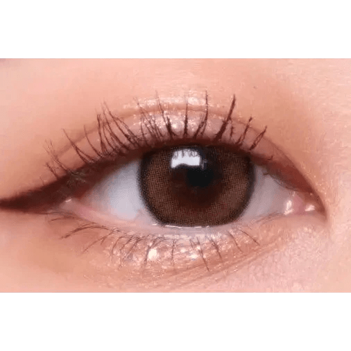 Olens ViVi Ring Brown Toric colored contact lens, 13.0mm graphic diameter, Monthly wear