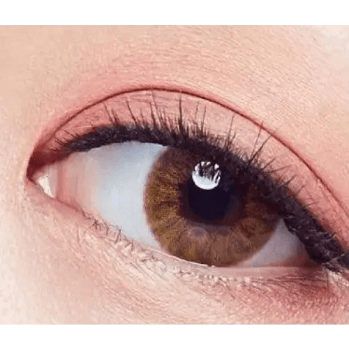 Olens Vogue Brown — single-eye close-up showing the contact lens appearance