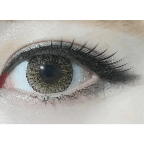 Olens W1 Brown — single-eye close-up showing the contact lens appearance