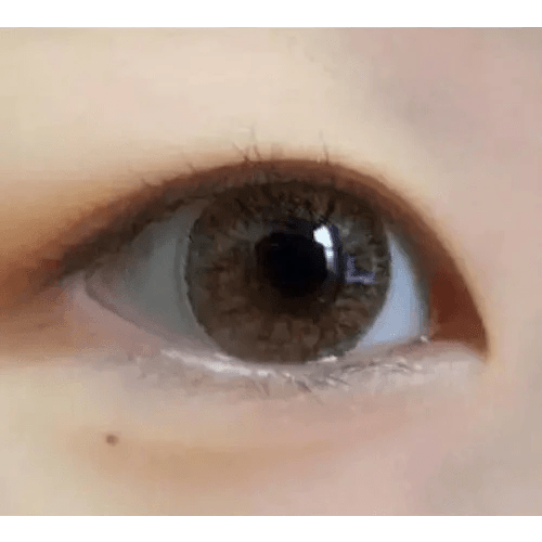 Olens W1 Brown — single-eye close-up showing the contact lens appearance