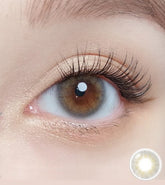 Olola A.ble 1Day Gray (10p)