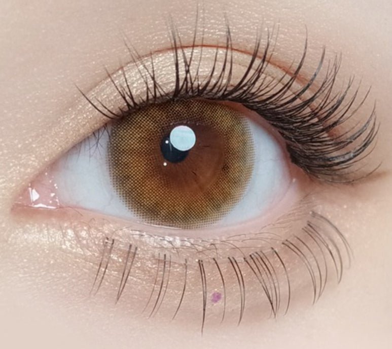 Olola A.muse Brown — monthly colored contact lenses, 13.2mm graphic diameter