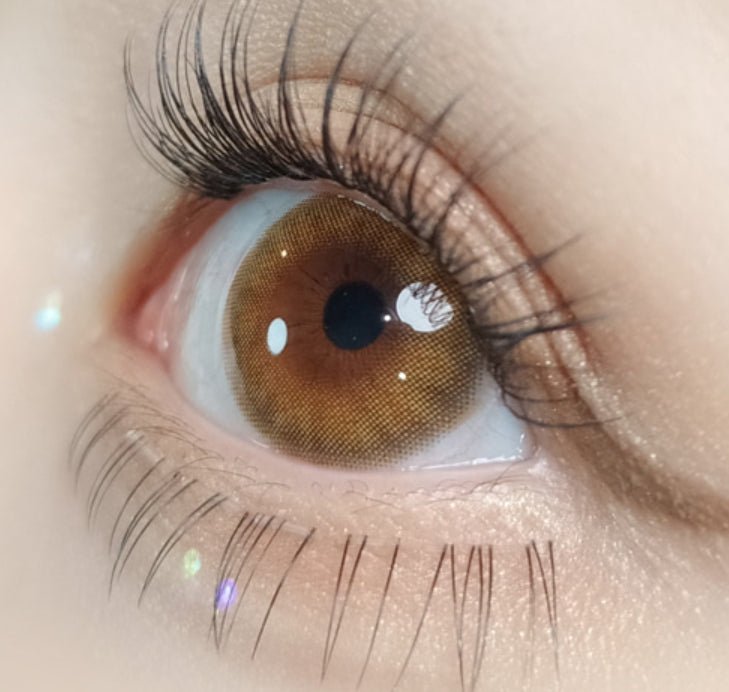 Olola A.muse Brown — monthly colored contact lenses, 13.2mm graphic diameter