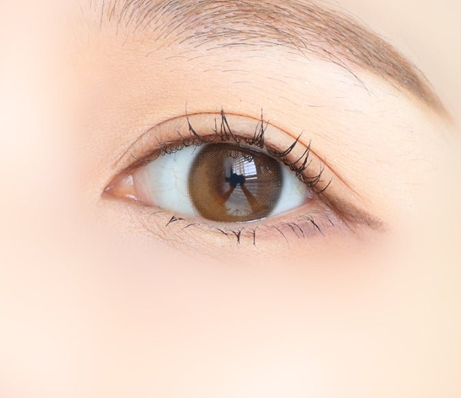 Olola Dahlia Brown colored contact lens, 13.2mm graphic diameter, 3-6 Months wear