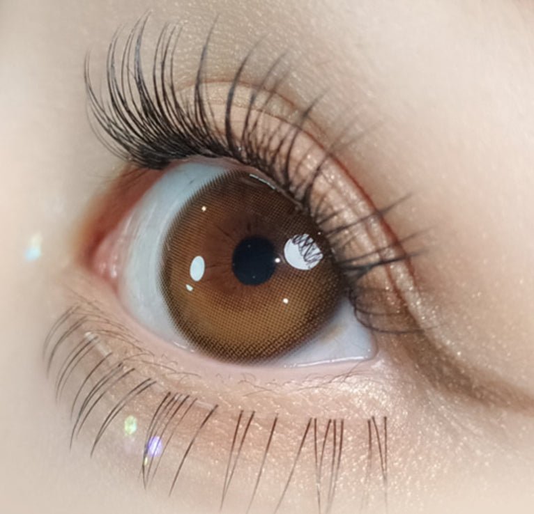 Olola Dahlia Brown colored contact lens, 13.2mm graphic diameter, 3-6 Months wear