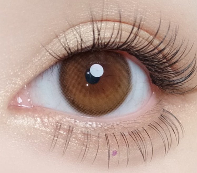 Olola Dahlia Brown colored contact lens, 13.2mm graphic diameter, 3-6 Months wear