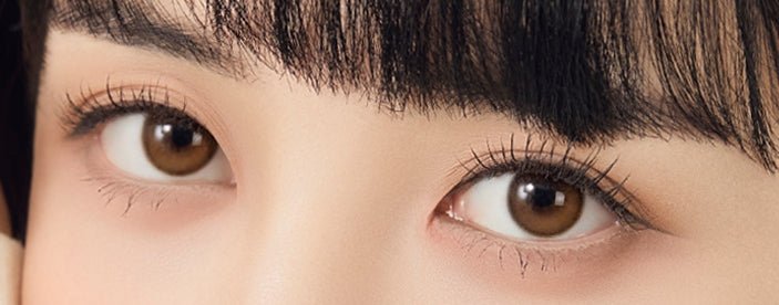 Olola Dahlia Brown colored contact lens, 13.2mm graphic diameter, 3-6 Months wear