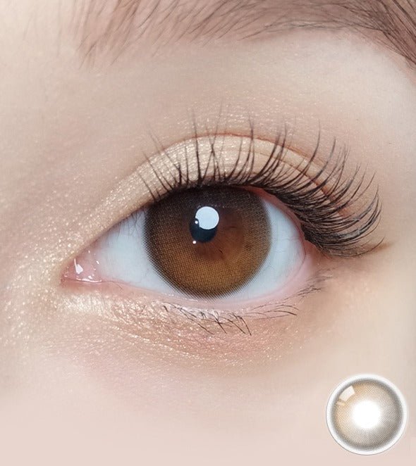 Olola Daymood Brown (10p) colored contact lens, 13.1mm graphic diameter, Daily wear