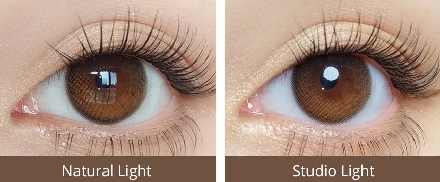 Olola Daymood Brown (10p) colored contact lens, 13.1mm graphic diameter, Daily wear