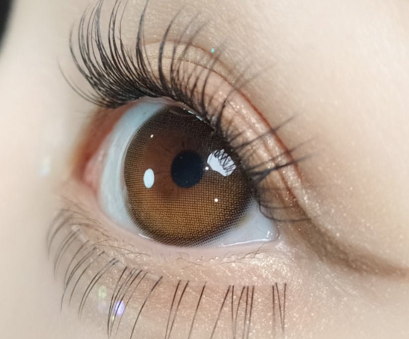 Olola Daymood Brown (10p) colored contact lens, 13.1mm graphic diameter, Daily wear