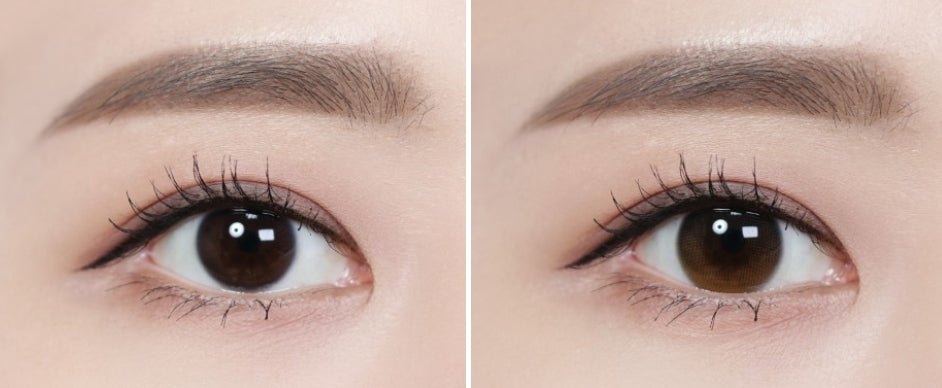 Olola Daymood Brown (10p) colored contact lens, 13.1mm graphic diameter, Daily wear
