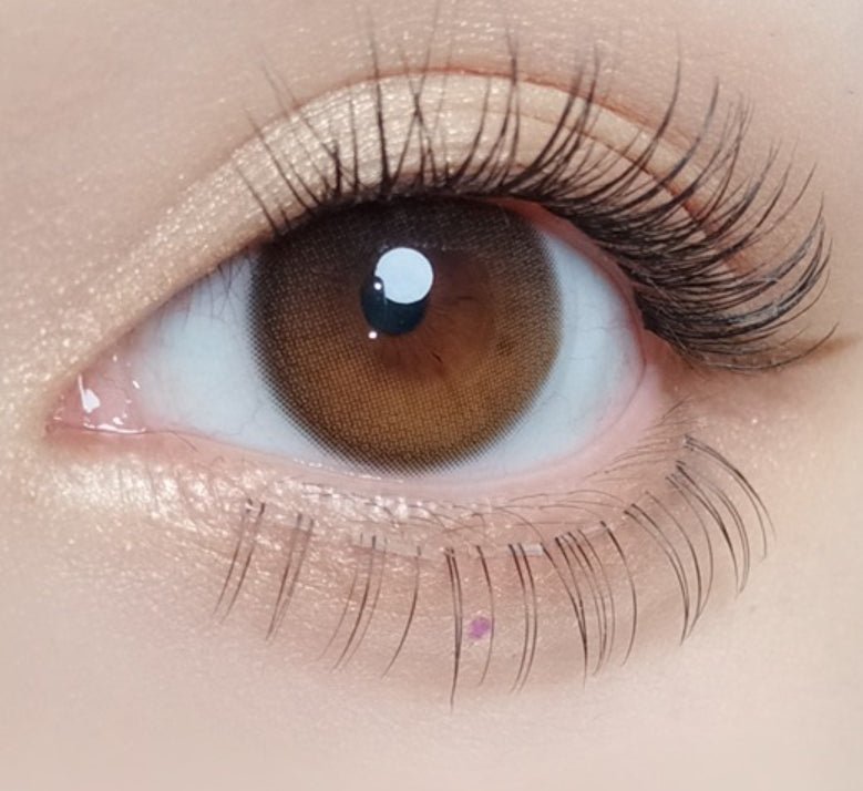 Olola Daymood Brown (10p) colored contact lens, 13.1mm graphic diameter, Daily wear