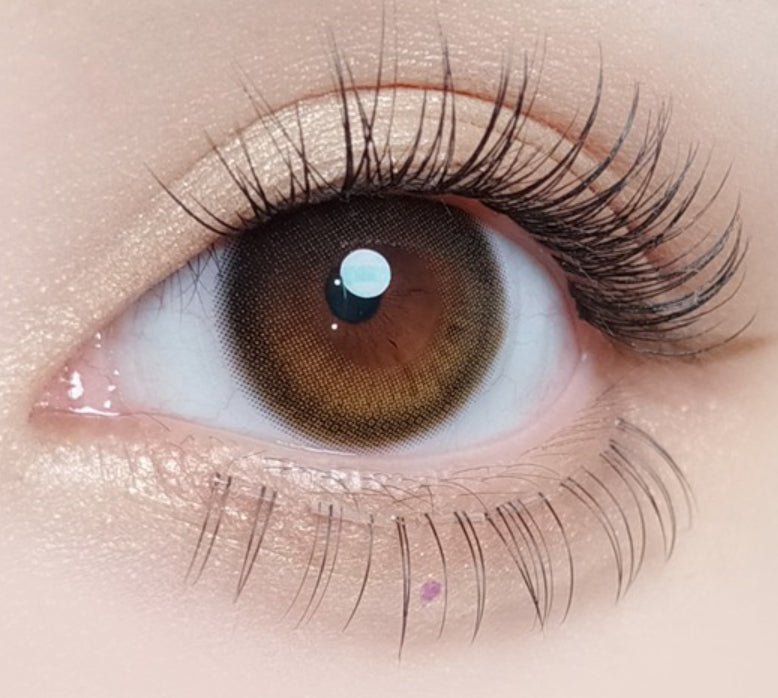 Olola Daymood Brown colored contact lens, 13.3mm graphic diameter, 3-6 Months wear