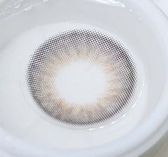 Olola Dazzling 3Color 1Day Ice Gray (10p)