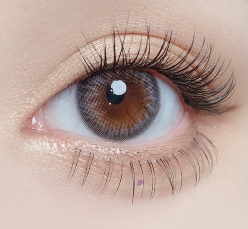 Olola Dazzling Ice Gray (10p) colored contact lens, 13.1mm graphic diameter, Daily wear