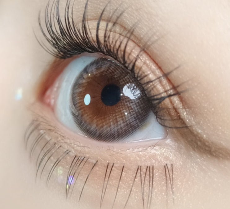 Olola Dazzling Ice Gray (10p) colored contact lens, 13.1mm graphic diameter, Daily wear