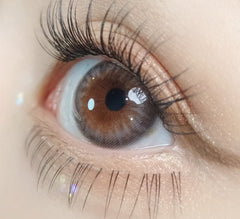 Olola Dazzling 3Color 1Day Ice Gray (10p)