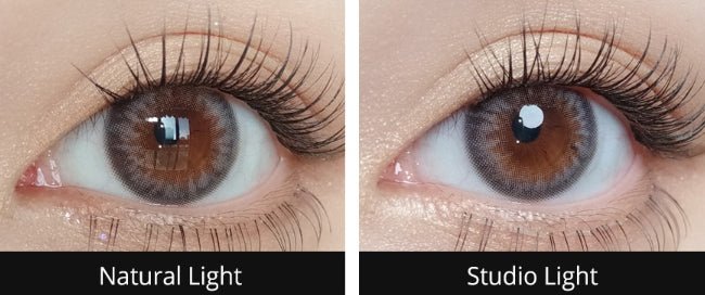 Olola Dazzling Ice Gray (10p) colored contact lens, 13.1mm graphic diameter, Daily wear