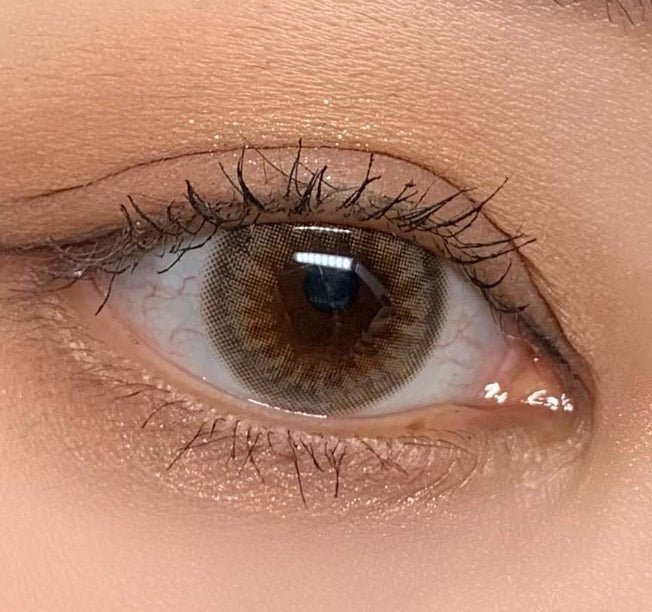 Olola Dazzling Rosie Hazel (10p) colored contact lens, 13.1mm graphic diameter, Daily wear