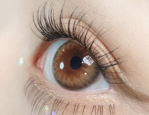 Olola Dazzling Rosie Hazel (10p) colored contact lens, 13.1mm graphic diameter, Daily wear