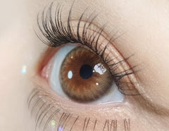 Olola Dazzling 3Color 1Day Rosie Hazel (10p)