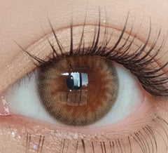 Olola Dazzling 3Color 1Day Rosie Hazel (10p)