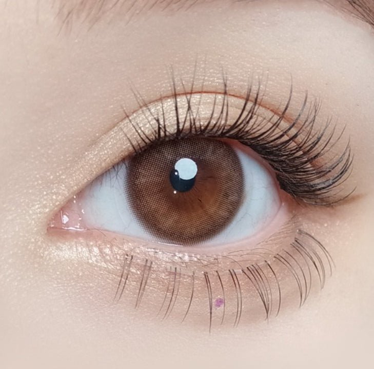 Olola Mellows Muse Brown (10p) colored contact lens, 13.1mm graphic diameter, Daily wear