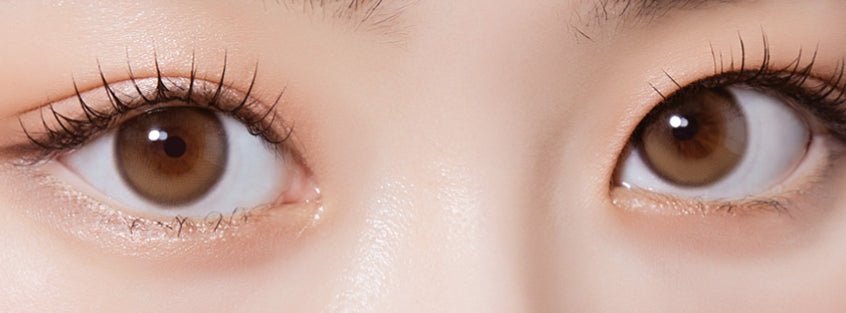 Olola Purity Shine Hazel Brown (10p) colored contact lens, 13.1mm graphic diameter, Daily wear