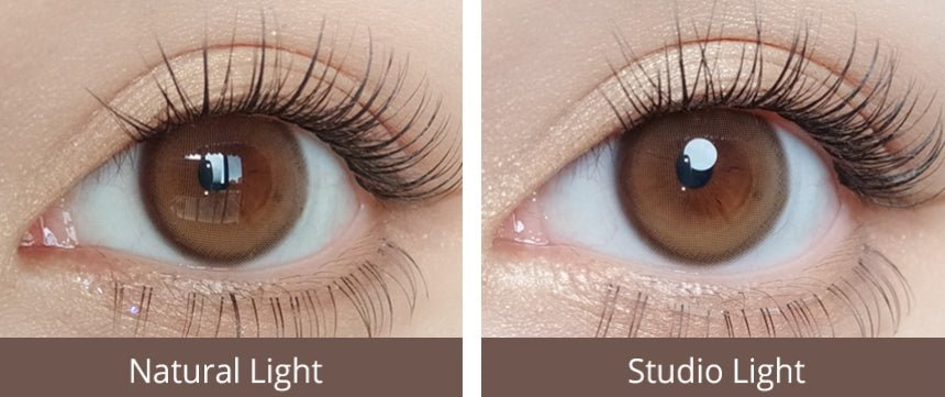 Olola Purity Shine Hazel Brown (10p) colored contact lens, 13.1mm graphic diameter, Daily wear