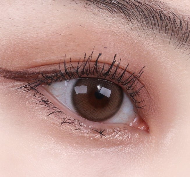 Olola Purity Shine Taupe Brown (10p) colored contact lens, 13.1mm graphic diameter, Daily wear