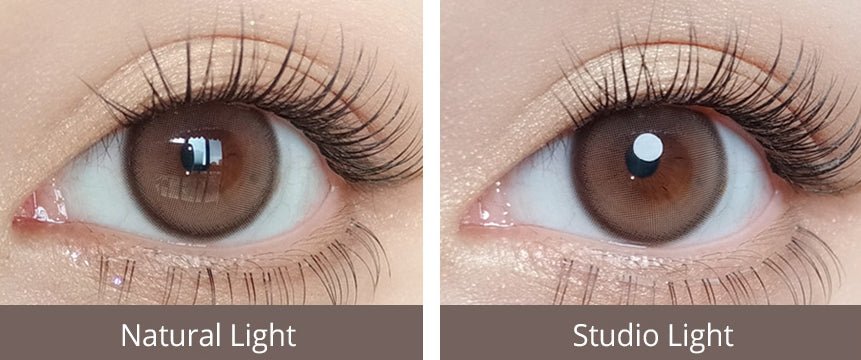 Olola Purity Shine Taupe Brown (10p) colored contact lens, 13.1mm graphic diameter, Daily wear