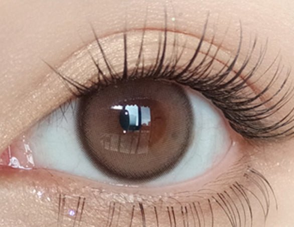 Olola Purity Shine Taupe Brown (10p) colored contact lens, 13.1mm graphic diameter, Daily wear