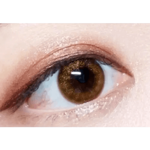 Olens Pearl Day Gold Brown — single-eye close-up showing the contact lens appearance