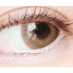 Photogenic Cream Beige (10p)