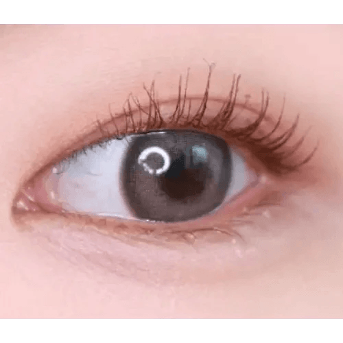 LensVery Photogenic Taupe Gray (10p) — single-eye close-up showing the contact lens appearance