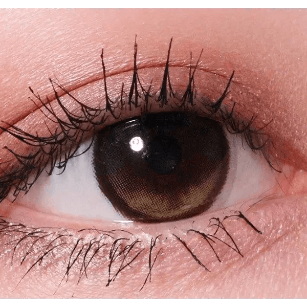 LensRang Planet 1Day Space Brown (5p) — single-eye close-up showing the contact lens appearance