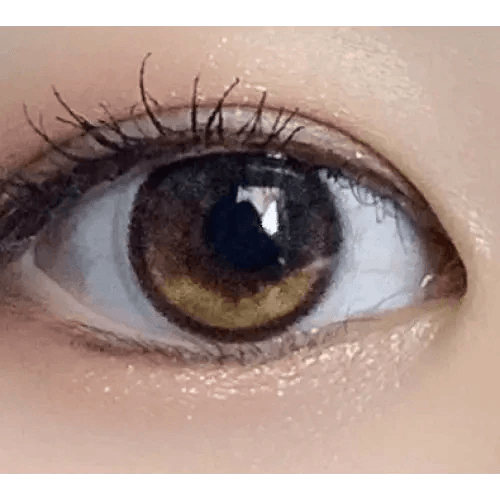 LensRang Planet 1Day Space Brown (5p) — single-eye close-up showing the contact lens appearance