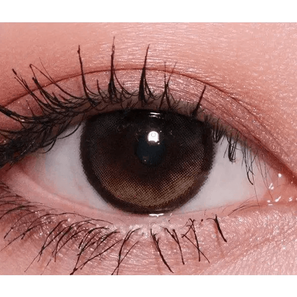 LensRang Planet 1Day Space Brown (5p) — single-eye close-up showing the contact lens appearance