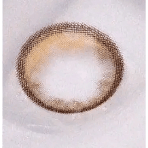 Planet 1Day Space Brown (5p) Planet 1Day Space Brown (5p)
