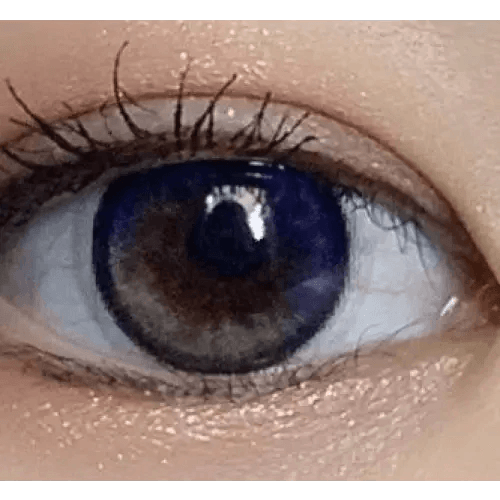 LensRang Planet 1Day Space Gray (5p) — single-eye close-up showing the contact lens appearance