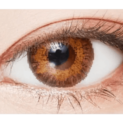 Poing Brown 13.4mm Poing Brown 13.4mm
